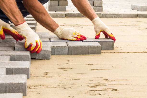 Best Professional Driveway Pavers  in Snow Hill, NC