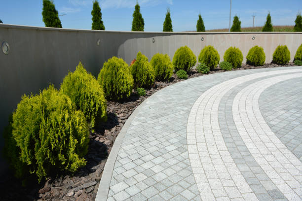 Best Driveway Resurfacing Pavers  in Snow Hill, NC